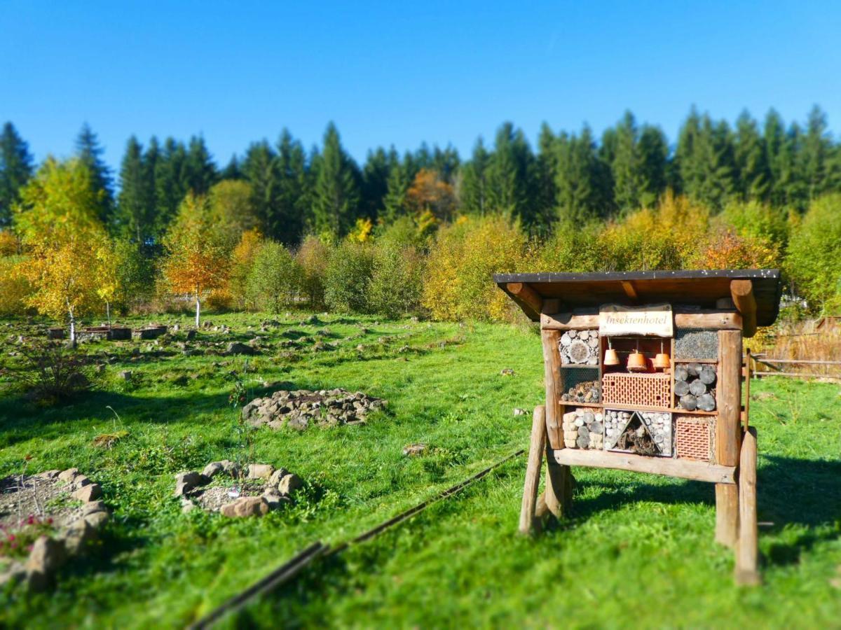 Ferienwohnung Ferienhaus Rhöner Auszeit Kaltenwestheim Exterior foto